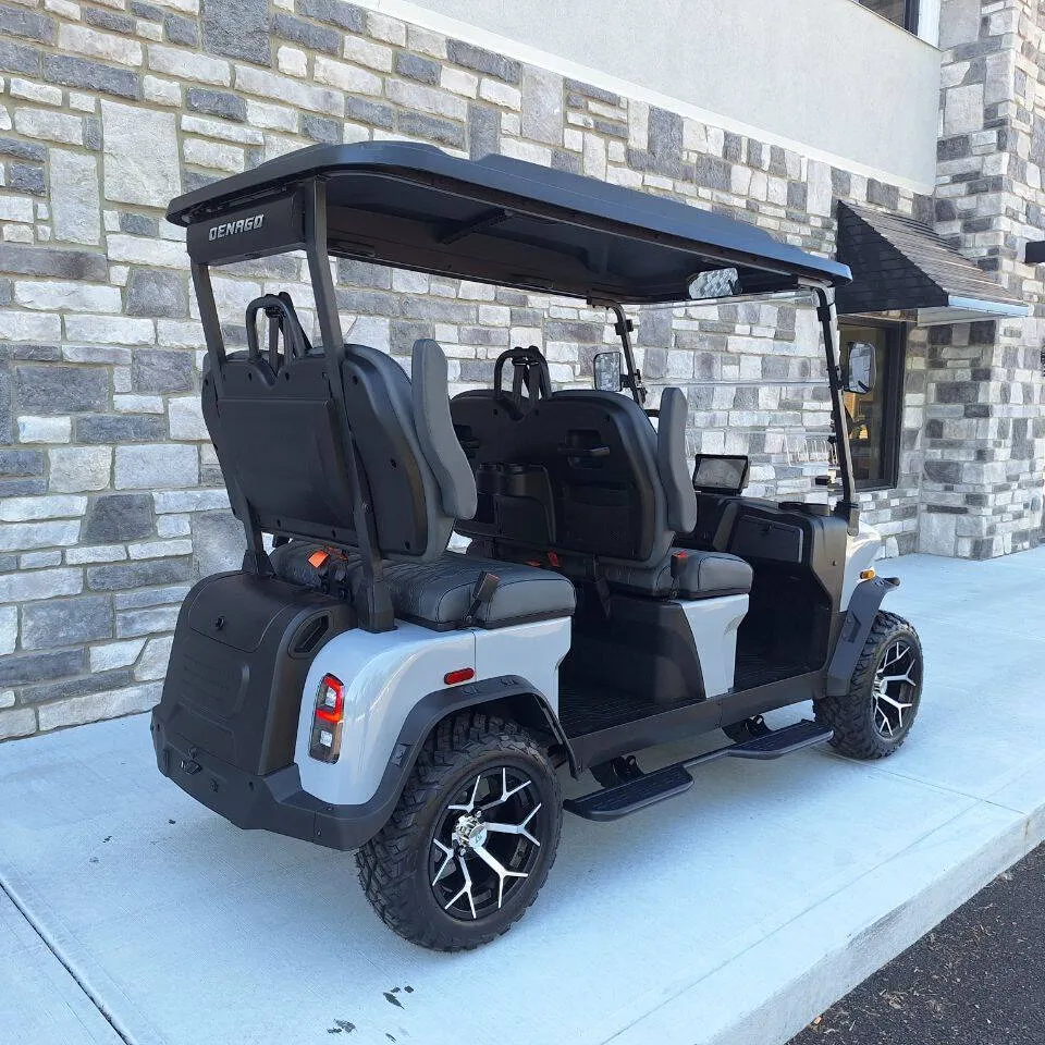 2026 Denago Rover XL Street Legal Golf Cart photo 7