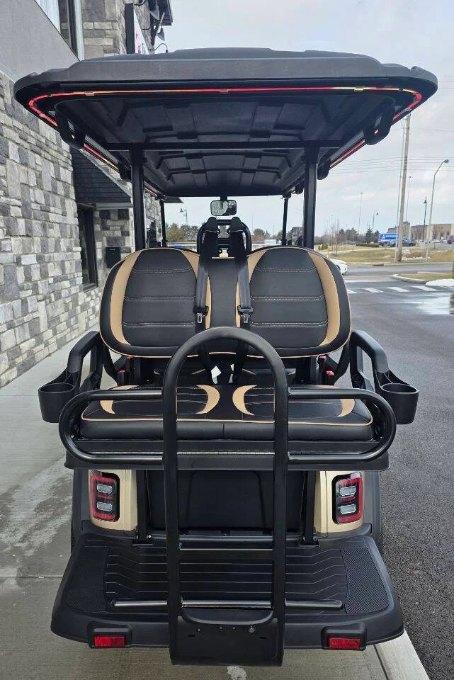 2026 Epic Carts E60FX Street Legal photo 9