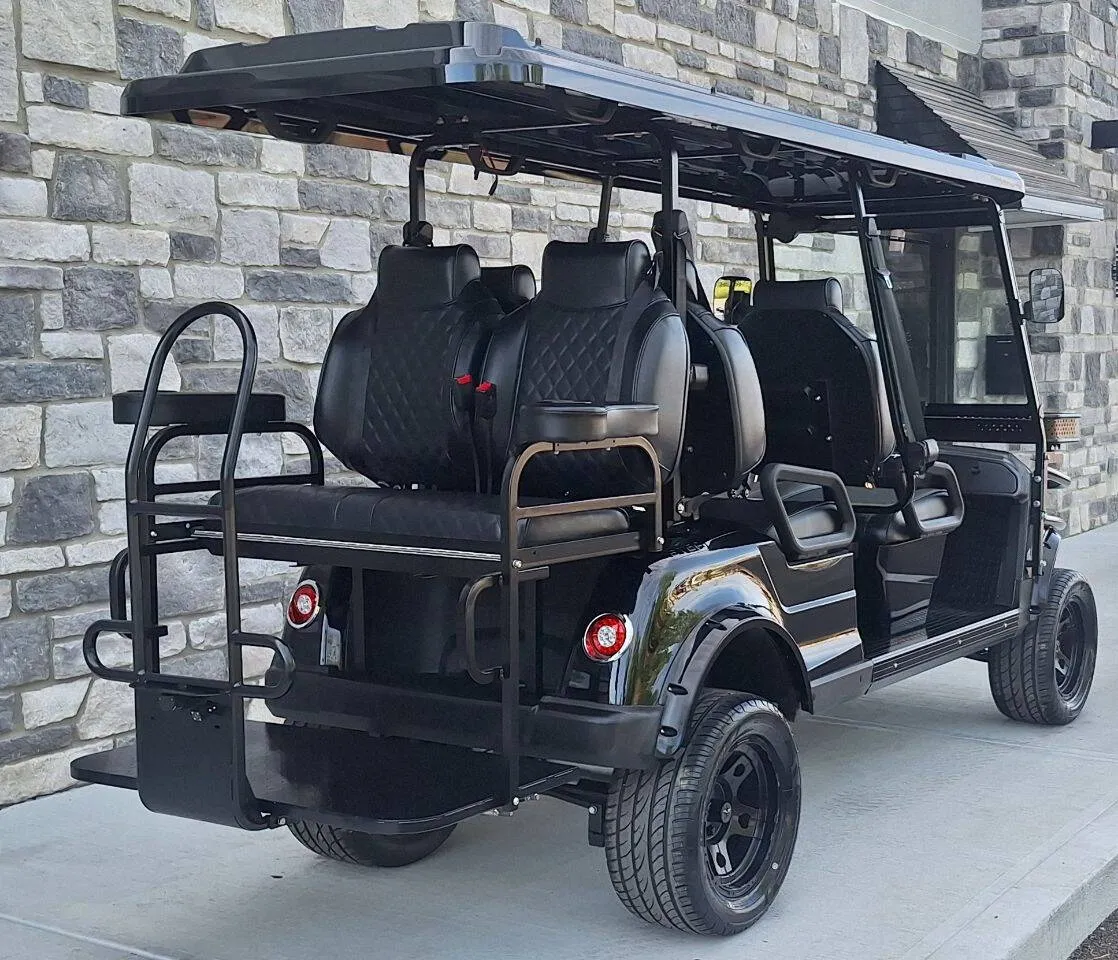 2025 Epic Carts E60L Street Legal photo 5