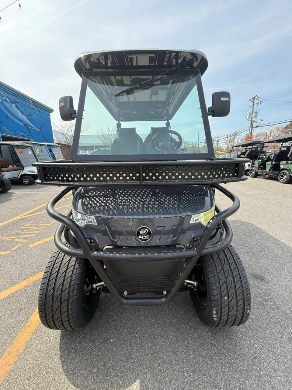 2025 Epic Carts E40L Lithium photo 8