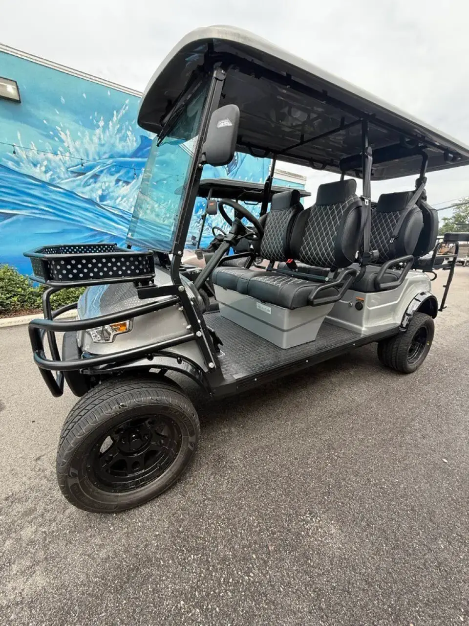 2025 Epic Carts E60L LIthium photo 1