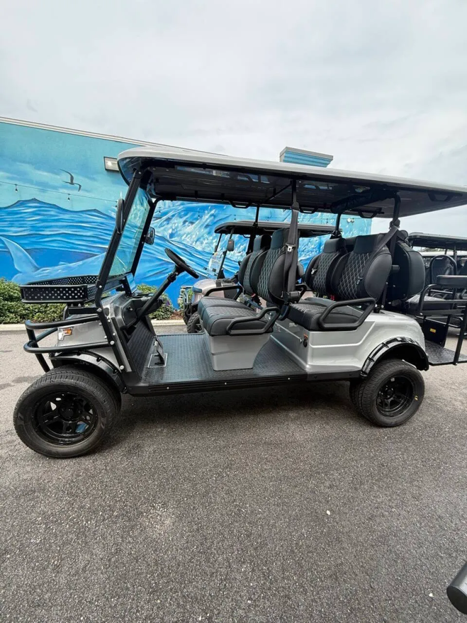 2025 Epic Carts E60L Lithium photo 2