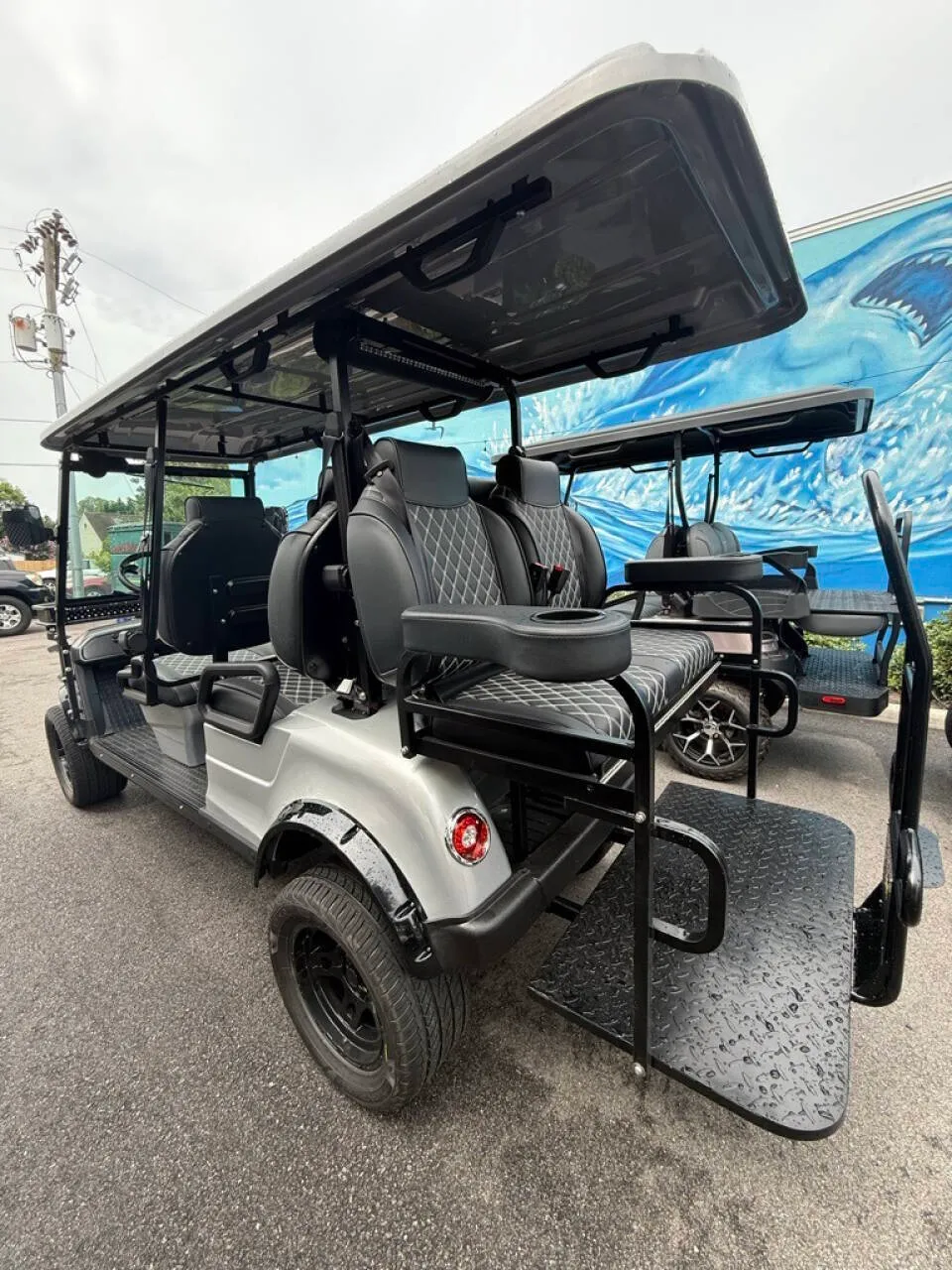 2025 Epic Carts E60L Lithium photo 3