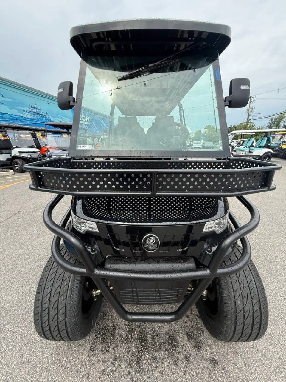 2025 Epic Carts E60L Lithium photo 8