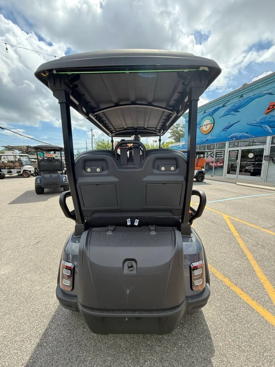 2025 Epic Carts E40FX Lithium photo 4