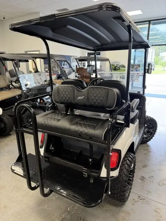 2020 E-Z-GO RXV photo 5