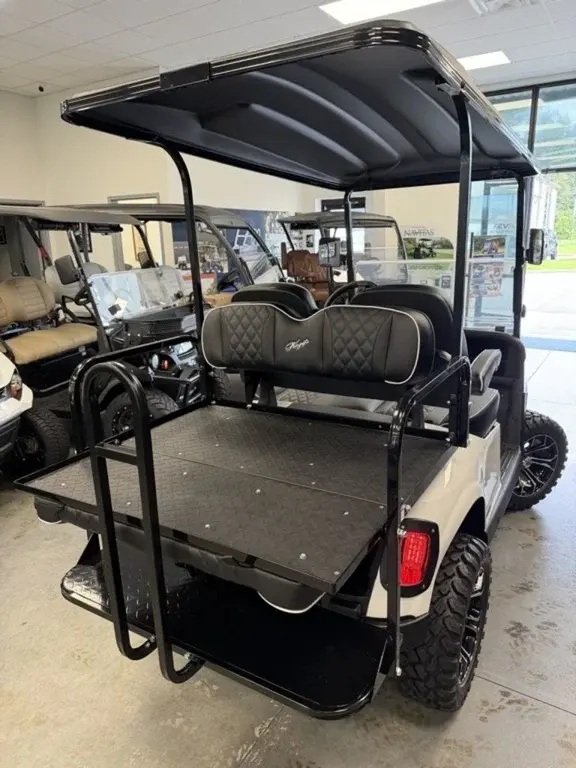 2020 E-Z-GO RXV photo 6