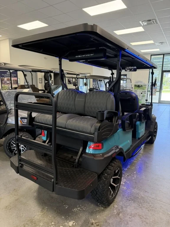 2026 Denago Rover XL 6 photo 9