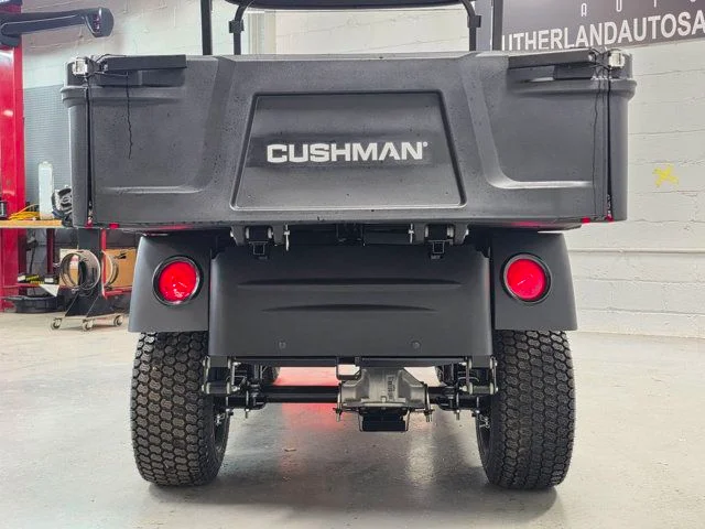 2026 Cushman 800X ELiTE photo 7