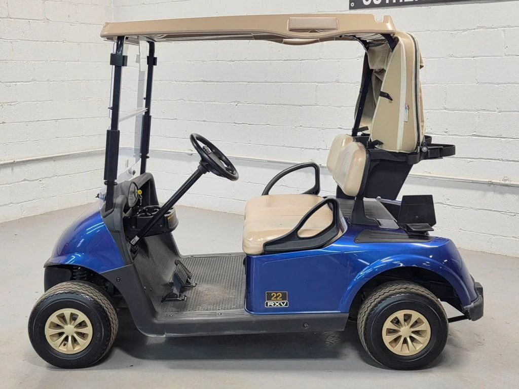 2020 E-Z-GO RXV photo 9