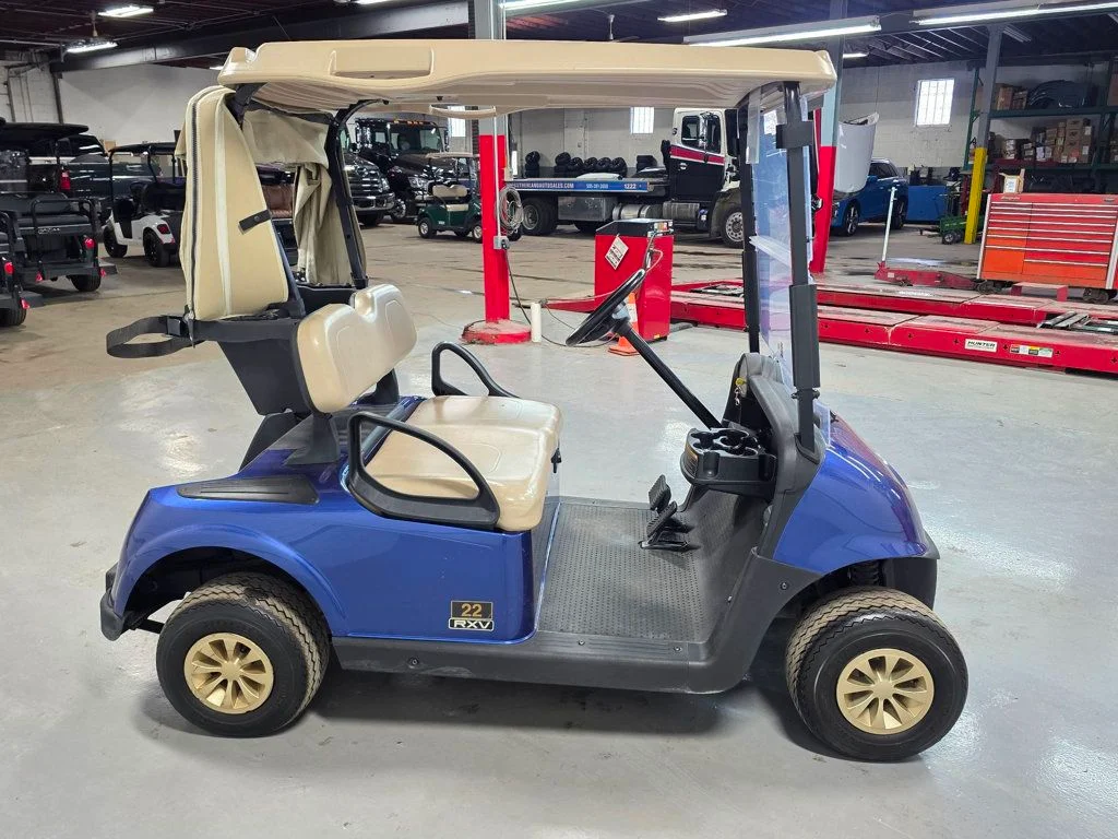 2020 E-Z-GO RXV photo 5