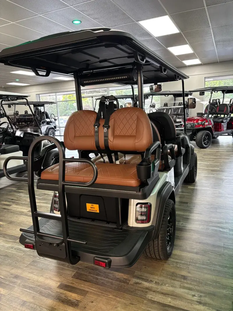 2026 ICON i60LX photo 4