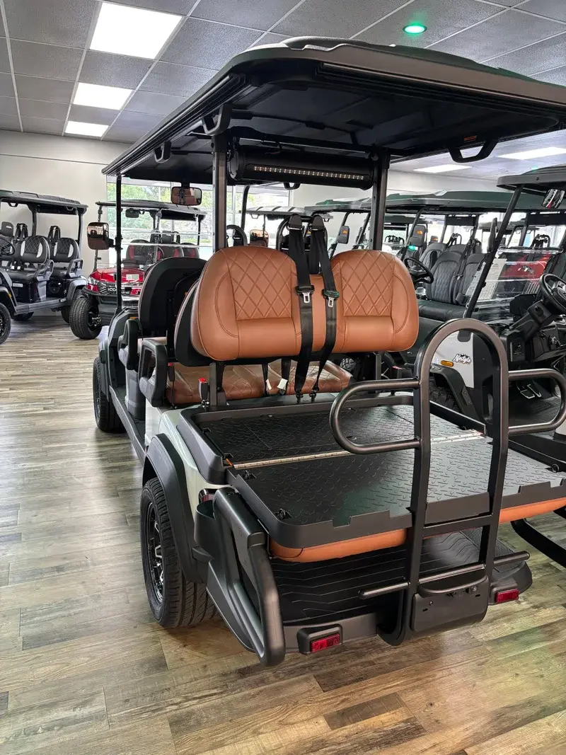 2026 ICON i60LX photo 5