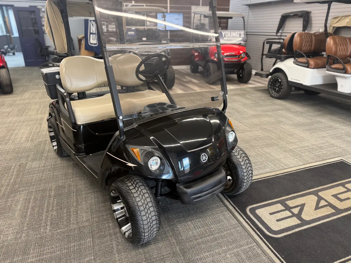 2009 Yamaha G29 photo 5