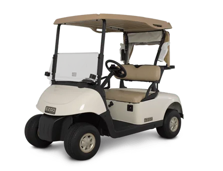 2015 E-Z-GO RXV photo 9