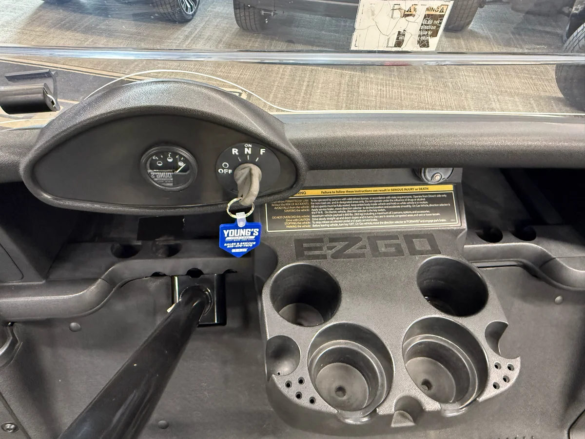 2015 E-Z-GO RXV photo 6