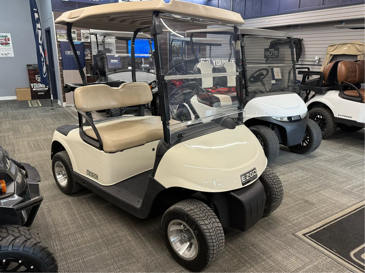 2015 E-Z-GO RXV photo 3