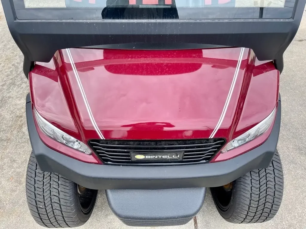 2022 Bintelli Beyond LSV6P photo 8