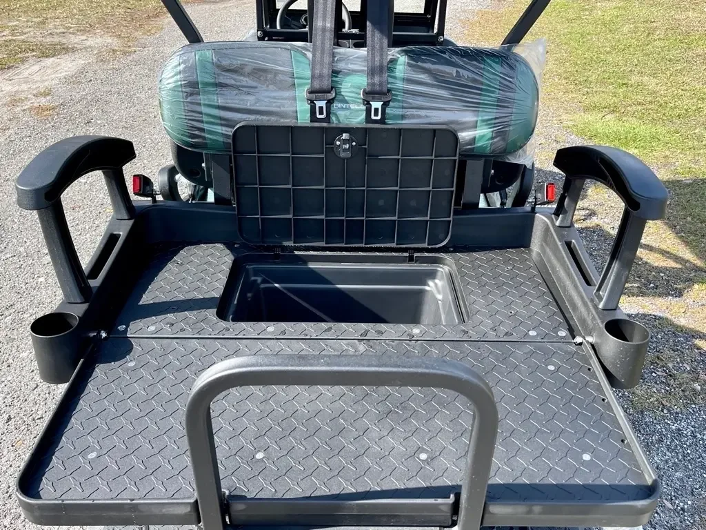 2023 Bintelli Beyond LSV6P photo 5