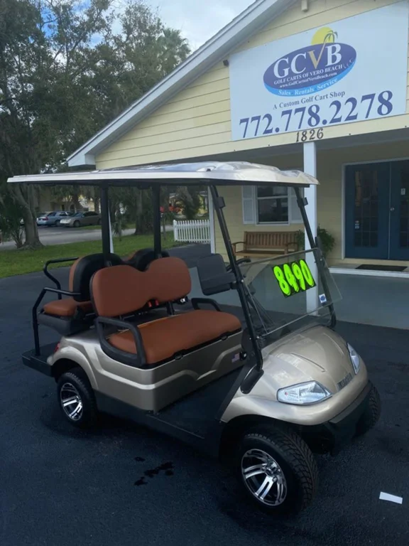 2021 Advanced EV 4 Passenger photo 2