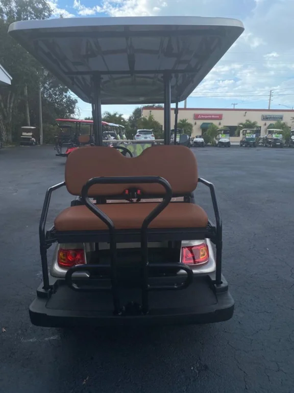 2021 Advanced EV 4 Passenger photo 5