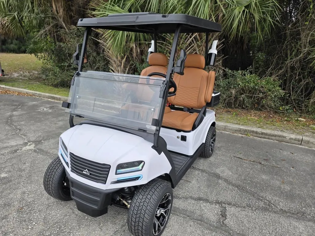 2026 Sierra LSV AX5 photo 3
