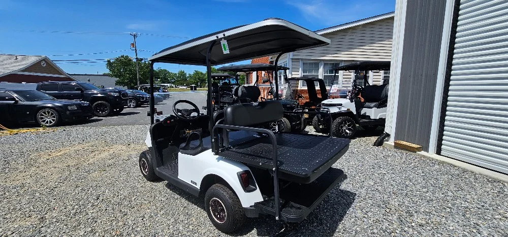 2020 E-Z-GO RXV photo 9