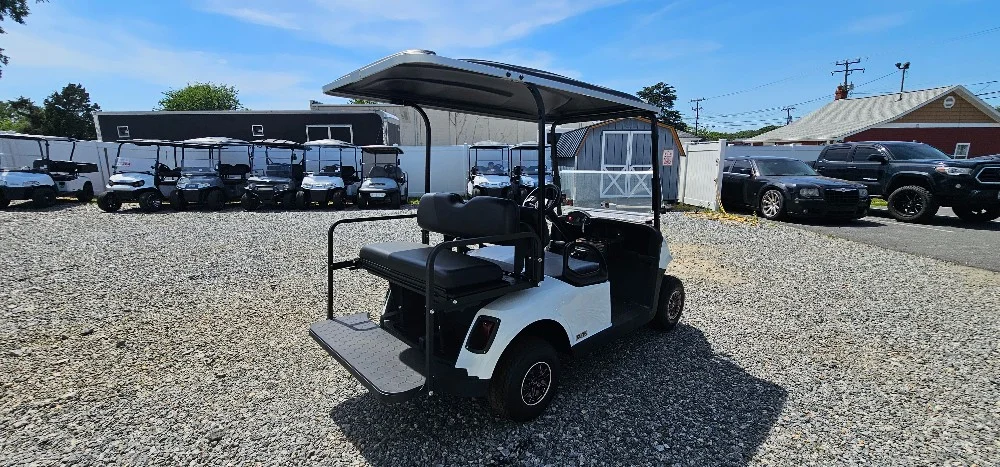 2020 E-Z-GO RXV photo 7