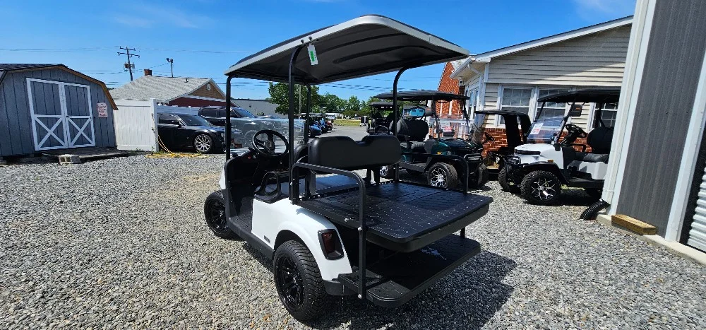 2020 E-Z-GO RXV photo 8