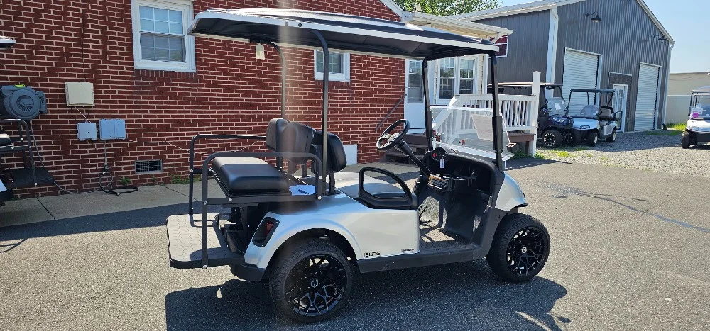 2021 E-Z-GO RXV photo 6