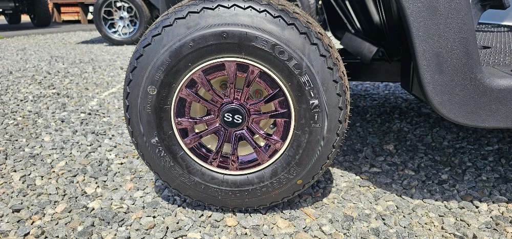 2020 E-Z-GO RXV photo 14