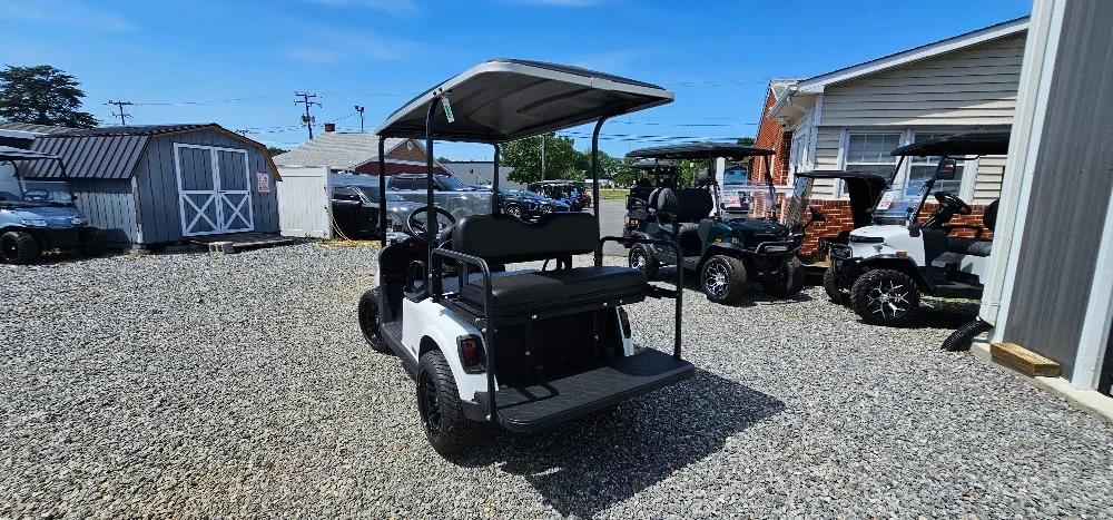 2020 E-Z-GO RXV photo 7