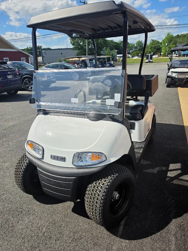 2020 E-Z-GO RXV photo 10