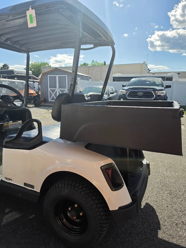 2020 E-Z-GO RXV photo 8