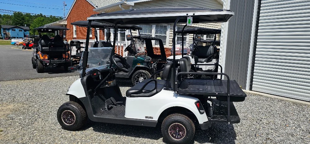 2020 E-Z-GO RXV photo 10