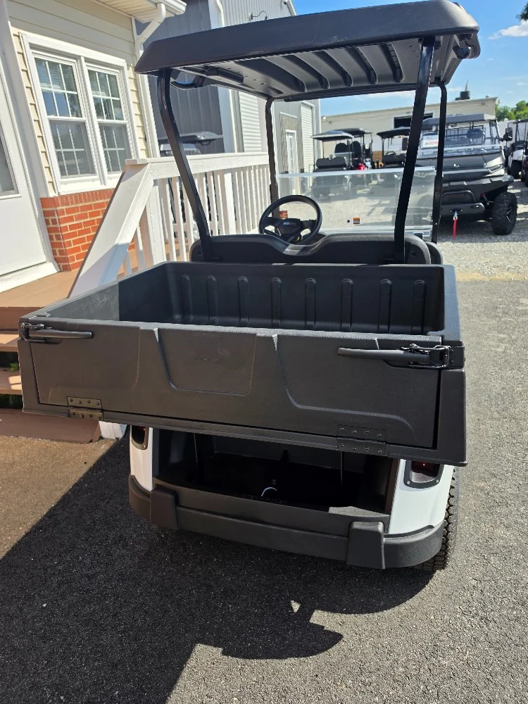 2020 E-Z-GO RXV photo 6