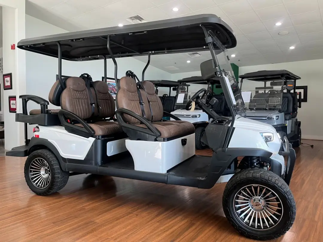 2025 Atlas 6 Passenger LSV photo 4
