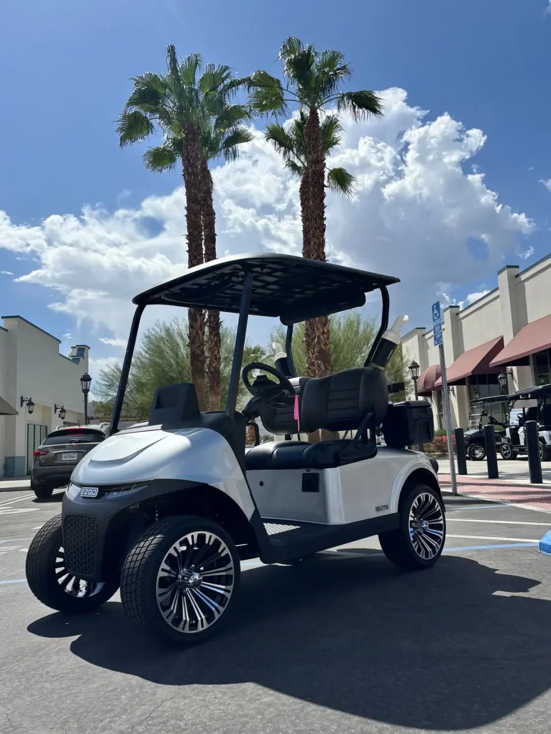 2026 E-Z-GO Freedom photo 7