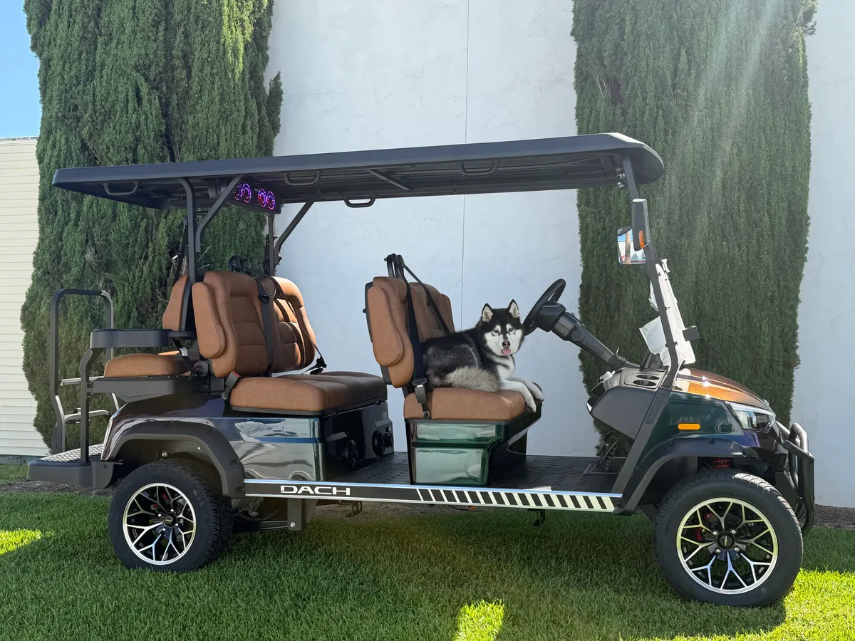 2026 DACH Apollo CHAMELEON photo 3