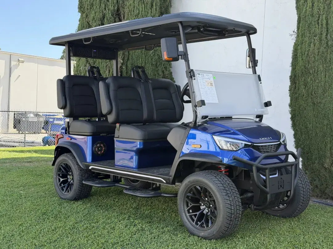 2026 DACH Apollo Blue photo 2