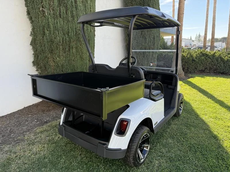 2020 E-Z-GO Freedom ELiTE Lithium photo 5