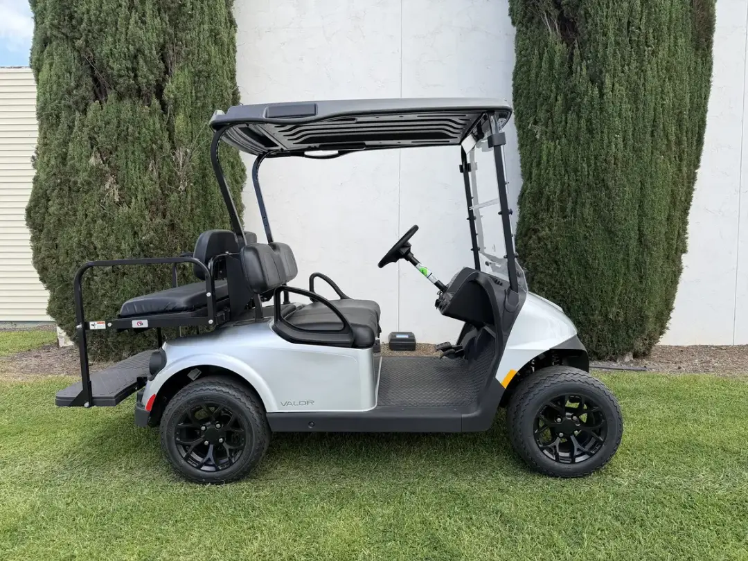 2026 E-Z-GO RXV 4 Valor S 48V Platinum photo 1