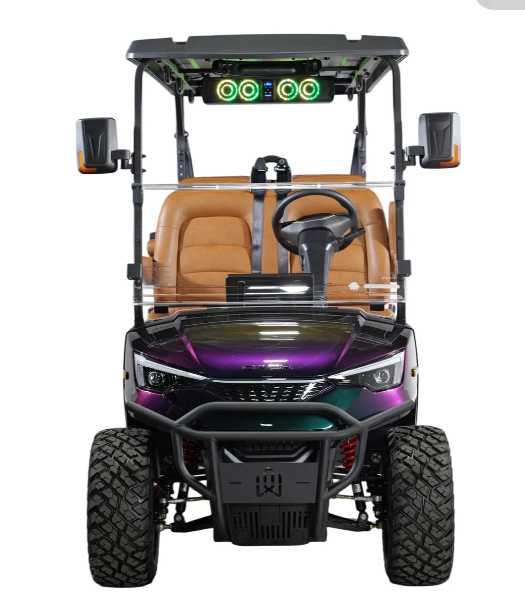 2026 DACH Apollo CHAMELEON photo 2