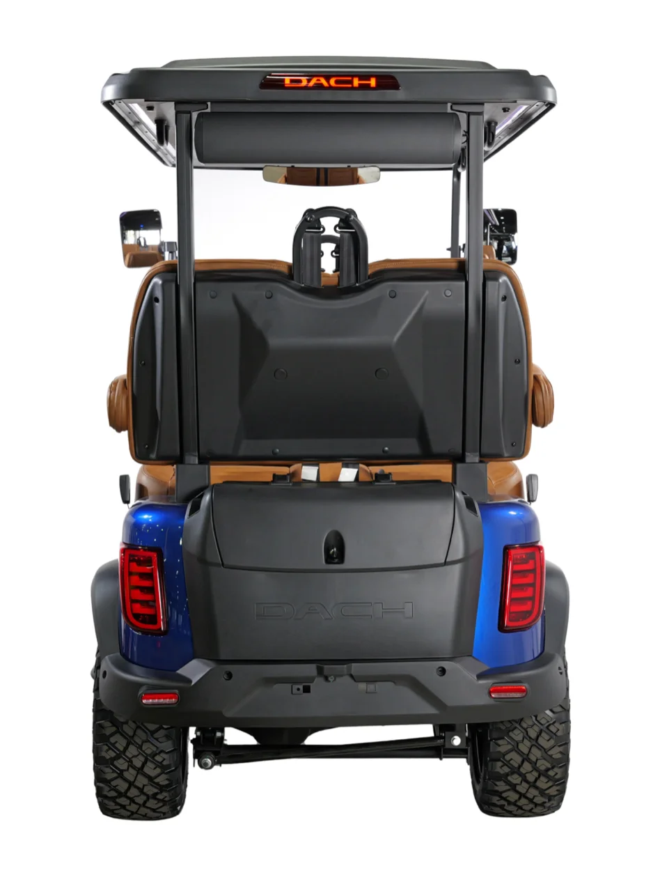 2026 DACH Apollo Blue photo 4