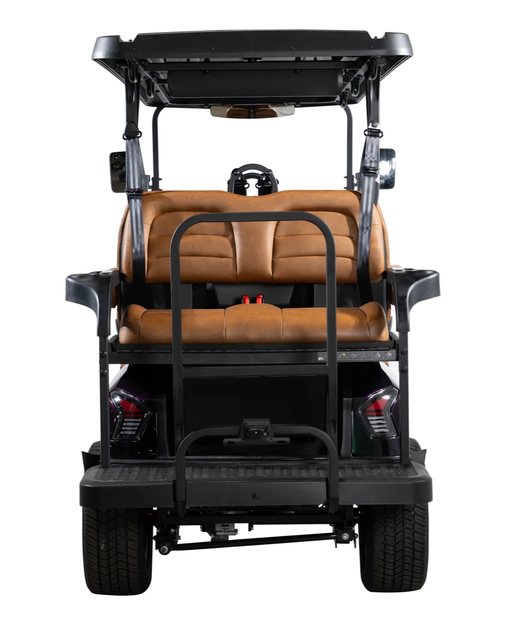 2026 DACH Apollo CHAMELEON photo 5