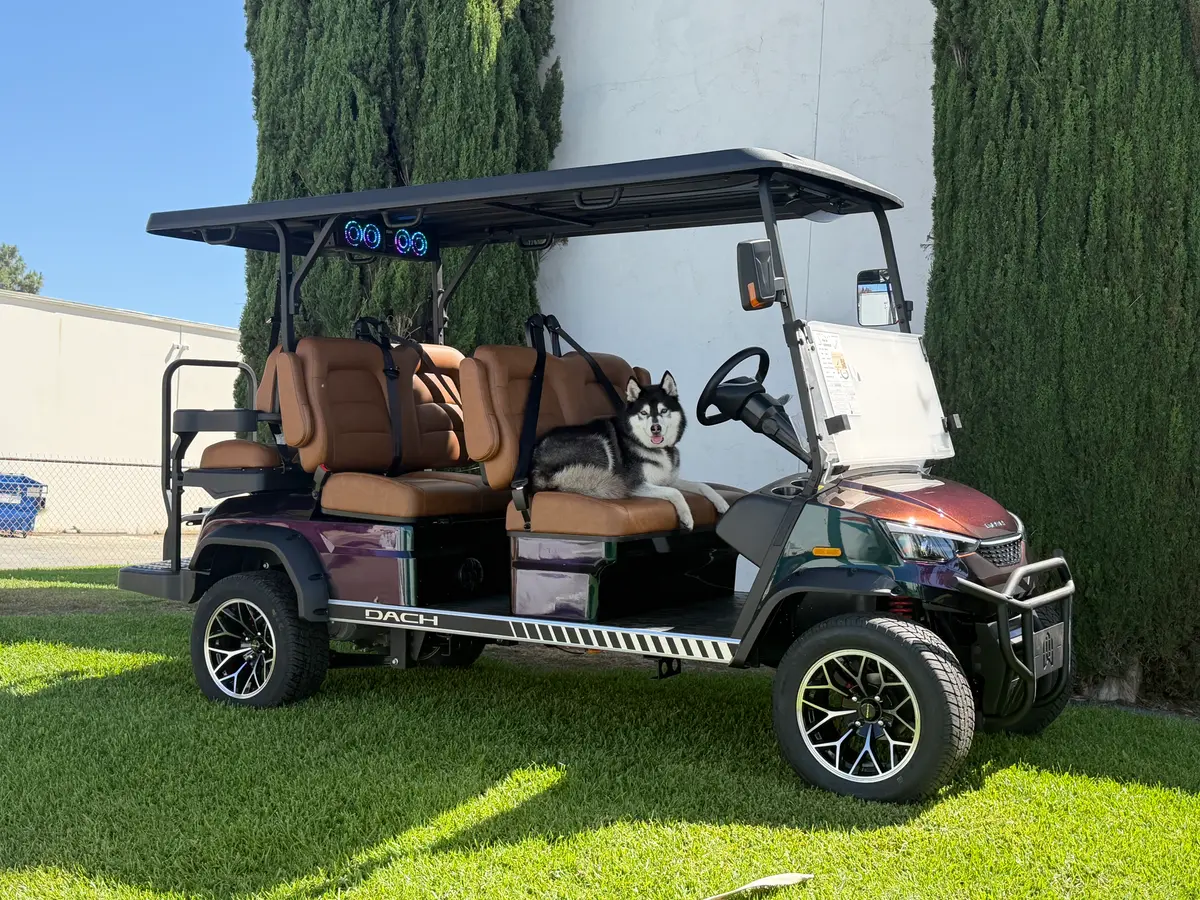 2026 DACH Apollo CHAMELEON photo 2