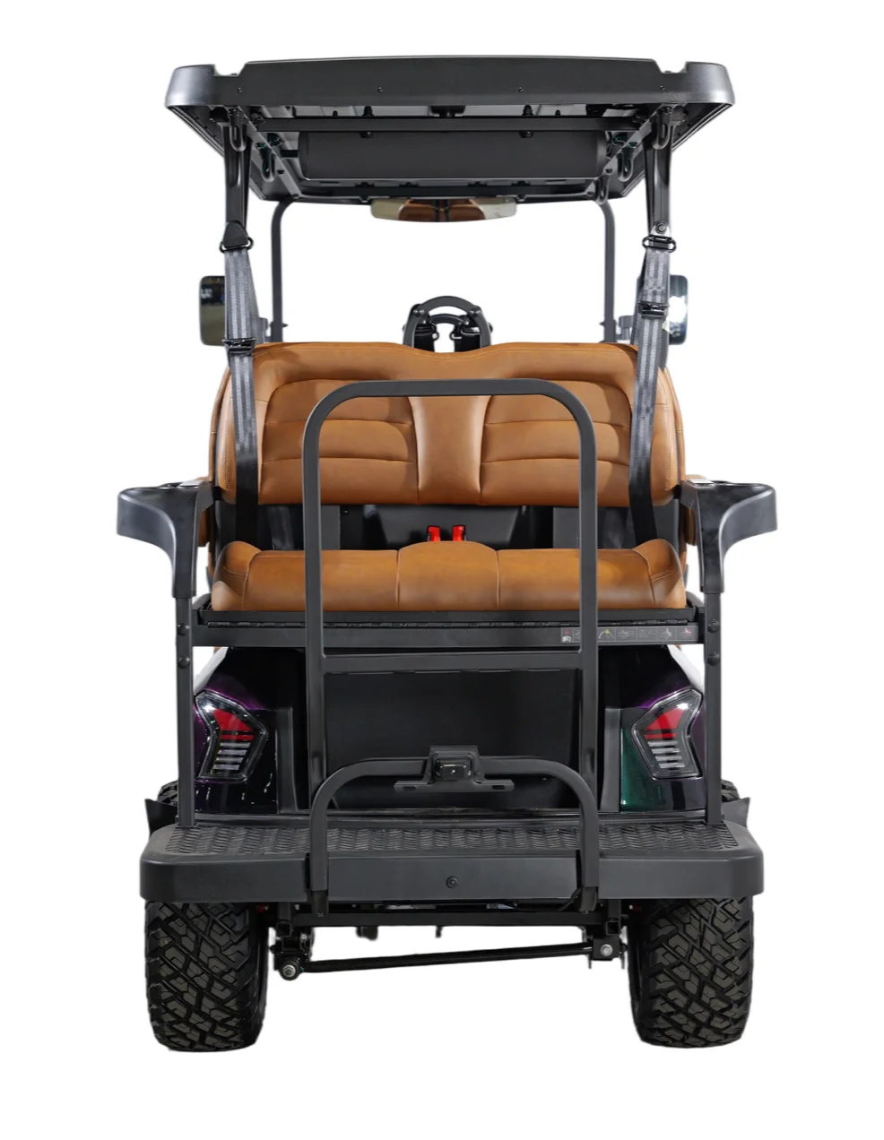 2026 DACH Apollo CHAMELEON photo 5