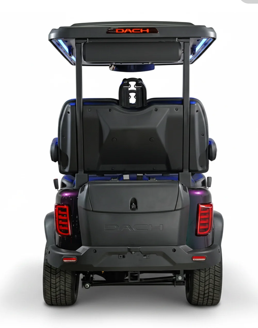 2026 DACH Apollo CHAMELEON photo 5