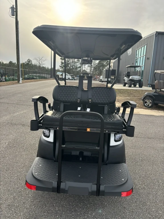 2023 Atlas 4 Passenger photo 5