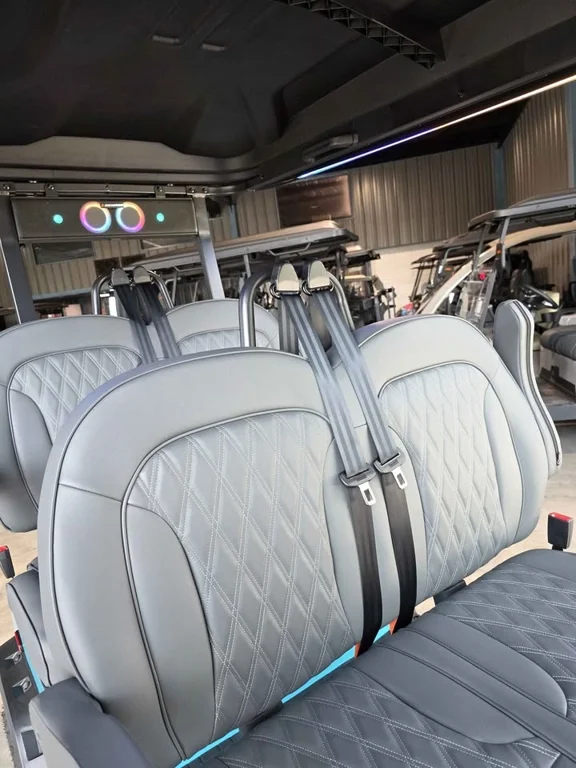 2026 Denago Rover XL photo 10